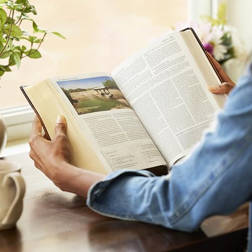 Image of NKJV Study Bible, Hardcover, Burgundy, Full-Color, Comfort Print: The Complete Resource for Studying God's Word