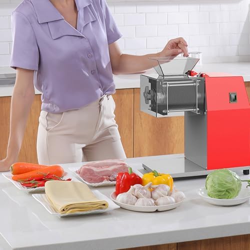 Commercial Meat Grinder, Electric Double-Sided Steak tenderizer, Stainless Steel Automatic Meat Floss Machine, for Steak, Pork, and Lamb. (2.5mm)