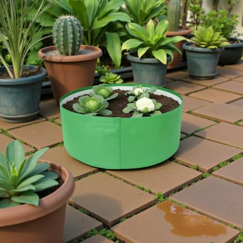 Image of HDPE UV Treated 340 GSM Plant Growing Bags for Terrace Gardening Easy to Use 24 x 09 Inch - Pack of 3