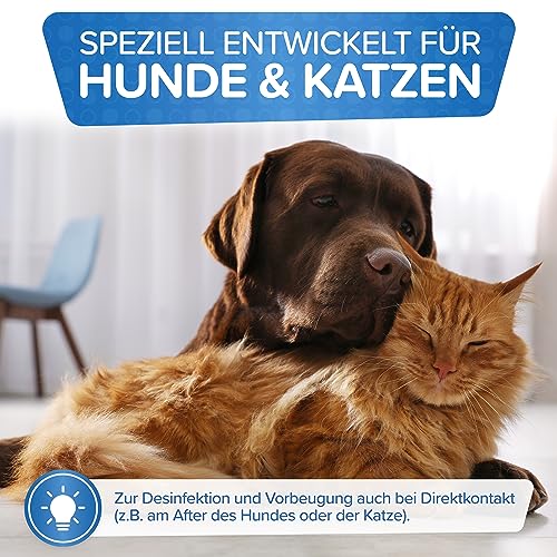 Patronus Giardien-Spray speziell für Hund & Katze 500ml - Hygiene-Spray für Haustiere als Desinfektionsmittel für Oberflächen gegen Viren, Bakterien & Pilze - hochwirksam & hautschonend