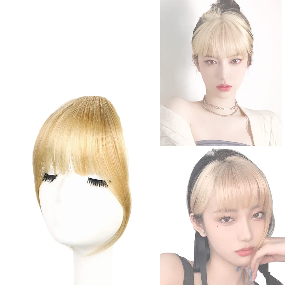 Azonee Clip in Bangs, Hair Bangs Extensions French Bangs Neat Bangs with Temples Clip on Fringe Bangs Wig Hair for Women Natural Color Washable/Dyeable