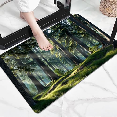 Tapis souple lavable absorbant à profil bas pour entrée de maison