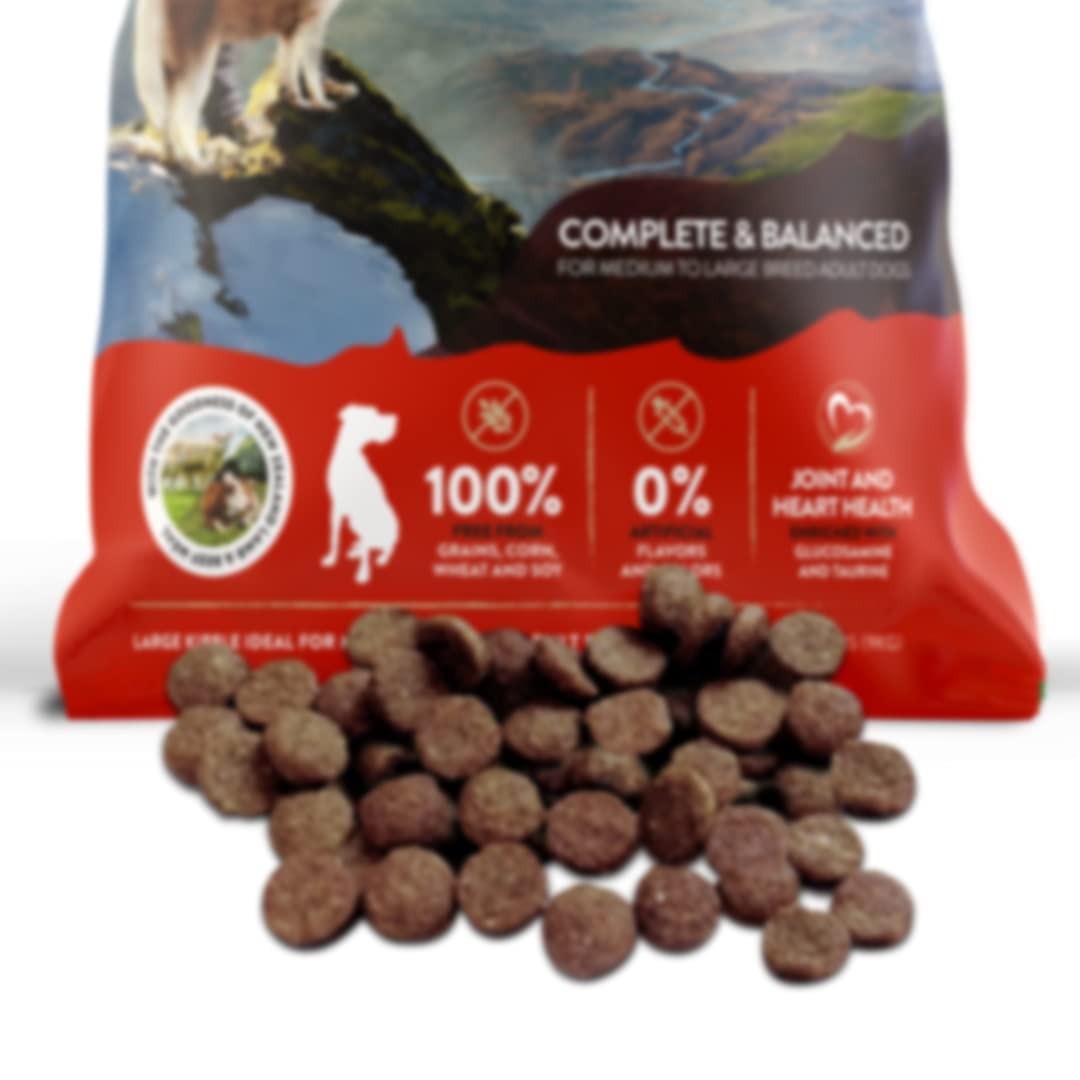 値下げ　アディクション（ADDICTION）　ドッグフード「メガ（MEGA）」 Amazon.co.jp: アディクション メガ グレインフリードッグフード（中型