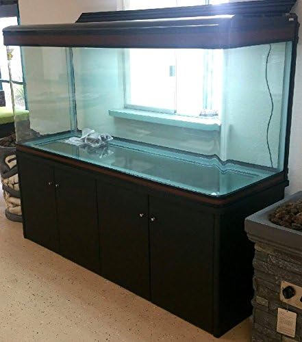 designer fish tank