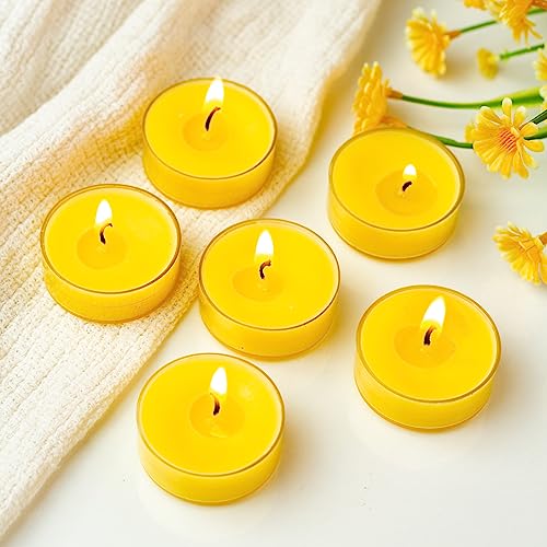 Image of AuraDecor Scented Soy Wax Acrylic Tealight Candle, Organic Luxury Aroma, Aromatic /Aromatherapy Candle || Long Lasting Burning Time (Pack of 1, Honeysuckle & Indi Flower)