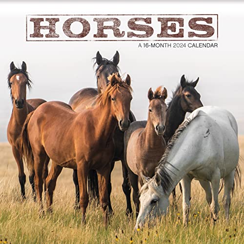 Trends International 243024 2024 Horses Wall Calendar cover