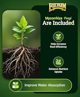 FoxFarm Happy Frog Tomato & Vegetable Fertilizer - Vegetable Fertilizer for Vigorous Feeders, 5-7-3 Blend with Calcium & Mycorrhizal Fungi, Supports Abundant Fruit Development, 4 lb