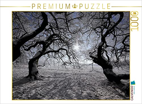 CALVENDO Bernhard Loewa - Puzzle (1000 Piezas, 64 x 48 cm), diseño de Sol de Invierno