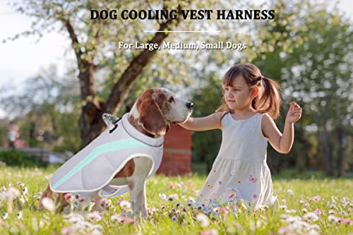 Dog Cooling Vest Harness Breathable Mesh Dog Cooler Jacket Cool and Comfortable Dog Coat Adjustable With Reflective Strip for Small/Medium/Large Dogs Outdoor Running,Walking,Mountain Climbing - Image 3