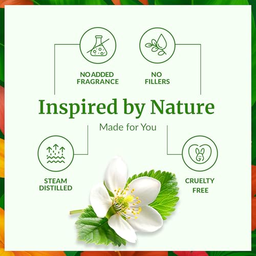 Image of SVA Manuka Essential Oil 1 /3 Fl Oz - for Diffuser, Skin & Hair Care - Ideal for Massage & DIY Blends - with Dropper
