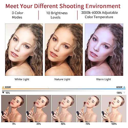 EOTO LIGHT 21-Inch Ring Light