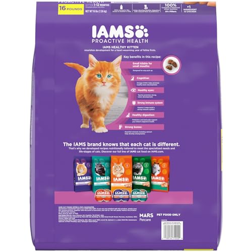 IAMS Proactive Health Healthy Kitten Dry Cat Food with Chicken, 16 lb. Bag #1