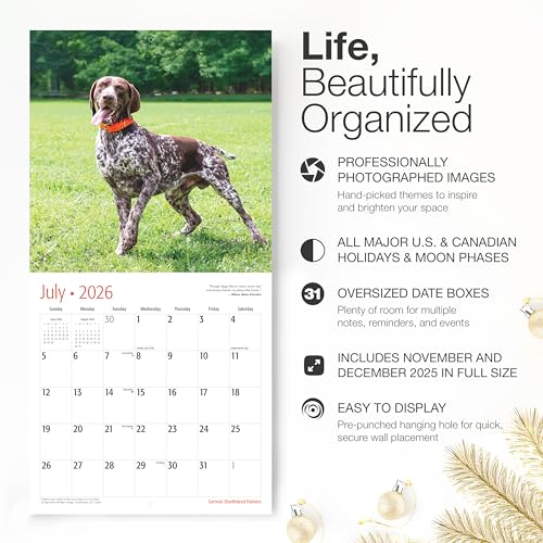 Image of RED EMBER German Shorthaired Pointers 2026 Wall Calendar 12 Month | 12 inch x 24 inch Open | Thick & Sturdy Paper | Giftable| Cute GSP Puppy Dog Calendar 2026