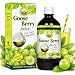 Basic Ayurveda Gooseberry Juice 480mL