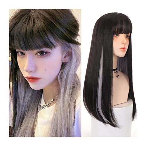 Perruque de cheveux longs et raides synthétique noire à frange avec reflet argent