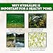 100 Gallons Live Concentrated Beneficial Freshwater Phytoplankton for Large Ponds and Lakes I Beneficial Phytoplankton for Natural Water Treatment and Traditional Nutrient Reduction