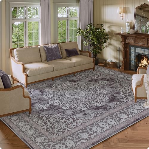 Clemile Vintage Area Rug 6x9 - Machine Washable Rug Living