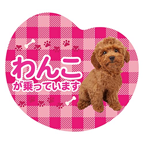 z[NAC ԗp }OlbgTC 񂱂Ă܂ (gCv[h, sN)