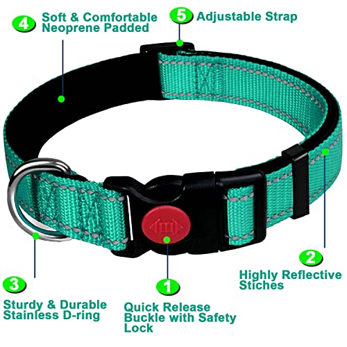 Dog Collar, Reflective Adjustable Basic Dog Collar with Soft Neoprene Padding, Durable Nylon Pet Collars for Puppy Medium Dogs - Image 2