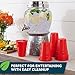 Hefty EcoSave Compostable Party Cups, Red, 18 oz, 16 Count (Pack of 3), 48 Total 4