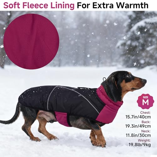 Veste pour chien imperméable réglable反光防寒保护 M码