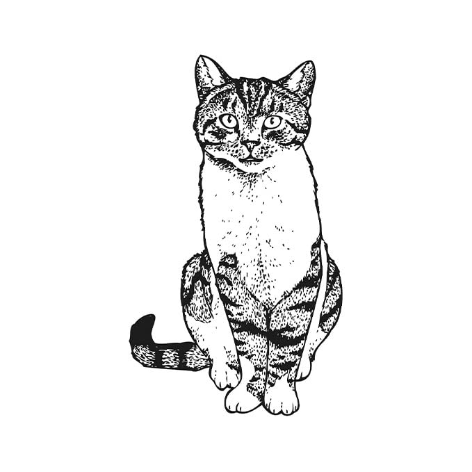 Miniatura 3 de Inkbox Tatuajes temporales, tatuaje semipermanente, un tatuaje de alta calidad, fácil de larga duración, resistente al agua con tinta For Now  Dura