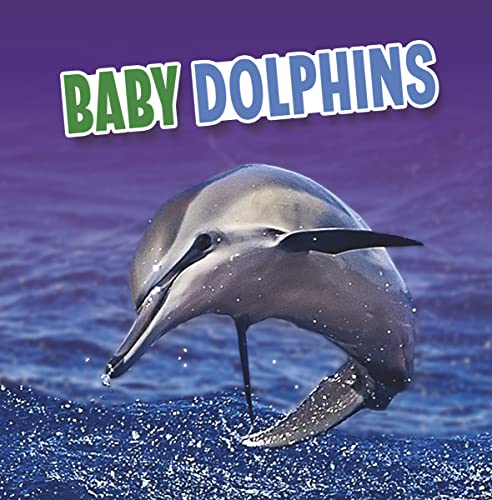 Raintree Baby Dolphins (Baby Animals).