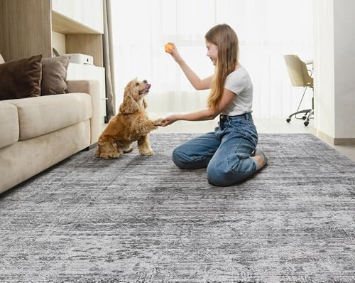 10x12 Area Rug Living Room Rugs - Washable Neutral Modern Abstract Soft Thin Rug Indoor Floor No Slip Rug Carpet for Bedroom Under Dining Table Home Office Decor - Light Gray