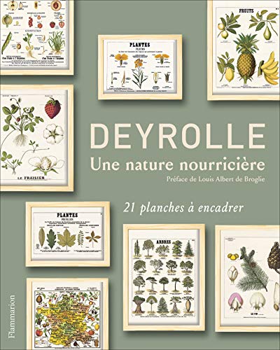 Télécharger Deyrolle, une nature nourricière : 21 planches à encadrer Gratuit