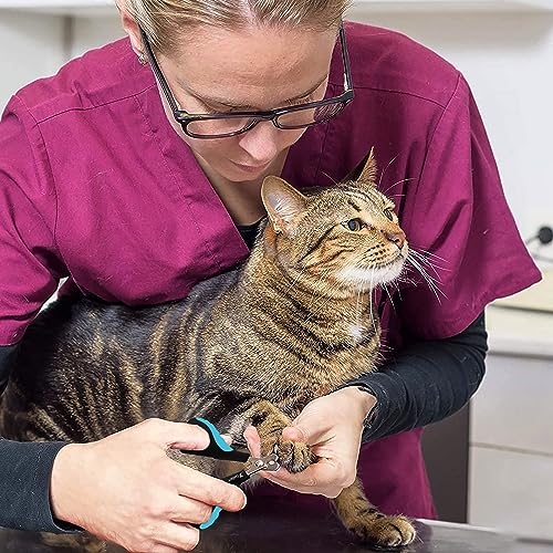 Candure Profi Krallenschere für Hunde und Katzen mit Nagelfeile Edelstahl Krallenzange Hohe Qualität Krallenpflege Schneider für Haustiere Nagelknipser groß Mit Sicherheitsschutz (Klein (XS), Blau)