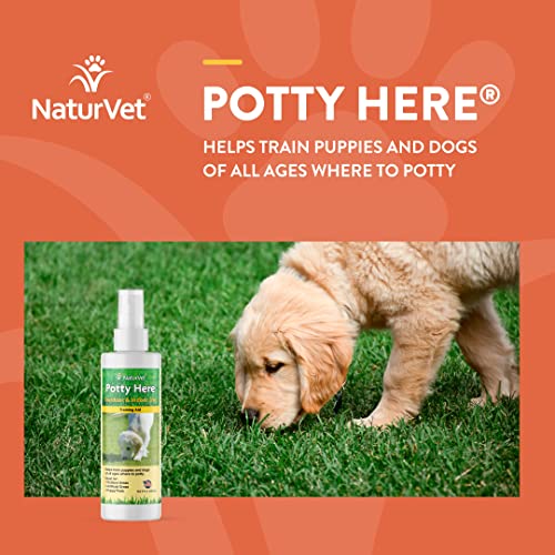 Naturvet – Potty Here Training Aid Spray | Attractive Scent Helps Train Puppies & Dogs Where To Potty | Formulated For Indoor & Outdoor Use | 8 Oz #TOP1