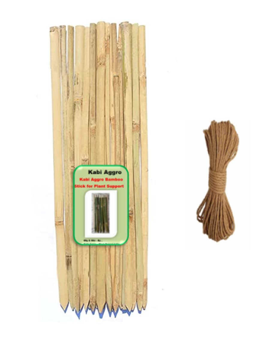 Kabi Aggro® Bamboo Sticks for Plants Support (Pack of 20) Height 2 feet 2 Inches / 26 Inch with Jute Rope 30 feet/Plant Support Sticks (B0B6SJGWXV) Amazon Price History, Amazon Price Tracker