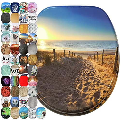 Sanilo Tapa de inodoro con cierre suave, muchos asientos para WC nuevos a escoger, montaje sencillo, bisagras estables (Duna)