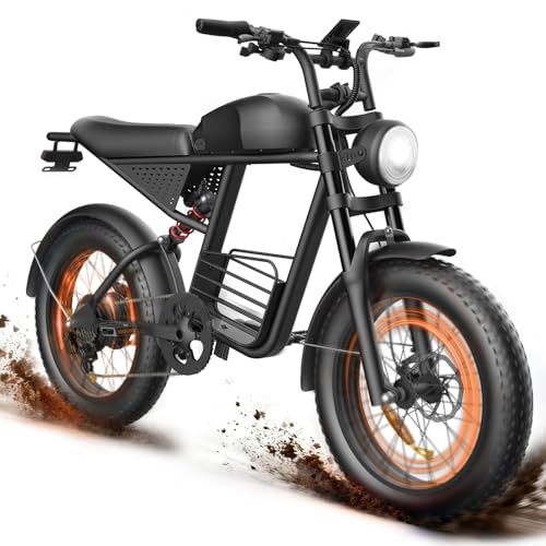 1500W Fat Tire Electric E-Bike