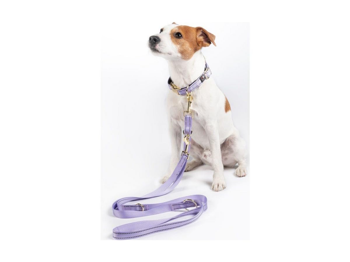 HKM Qooper nylon Dog Trainings Leash, Lavender, S
