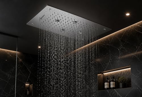 Image of Aquieen 2 inlet rain and mist shower SS304 Ceiling Shower (10 x 15 Rain + Mist)