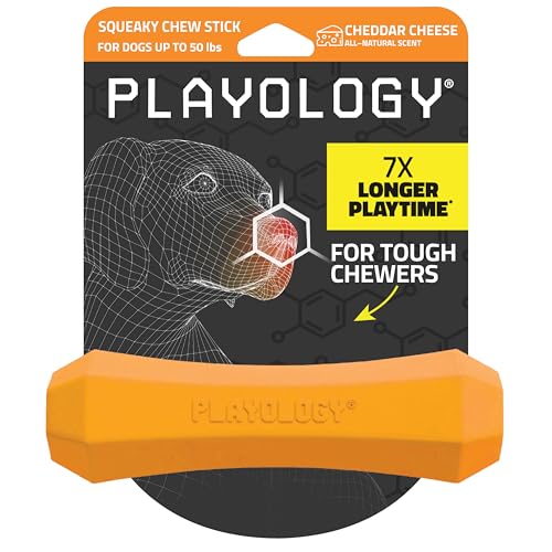 Playology Dog Toys | Durable Squeaky Chew Stick for Dogs | Medium Cheddar Cheese Scented Toy - Easy to Clean and Made from Non Toxic Materials