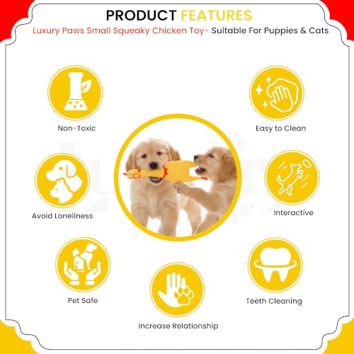 Image of Hen Chicken Squeaky Dog Toy - Medium Pack of 2
