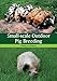 Small-scale Outdoor Pig Breeding