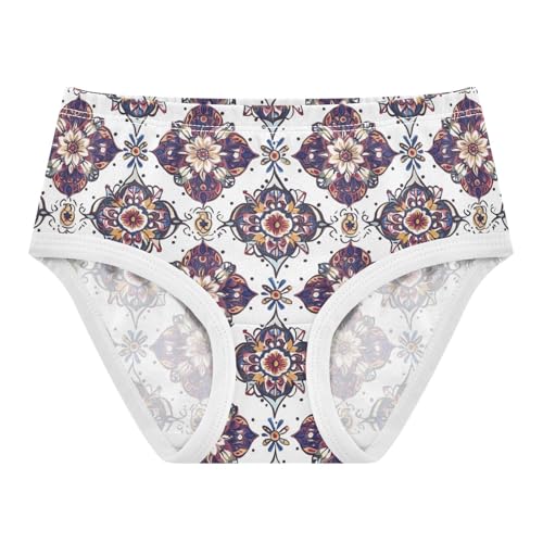 ZZKKO Vintage Mandala Floral Pattern Girls Underwear Toddler Panties for Girls Comfort Brief Size 2-8T