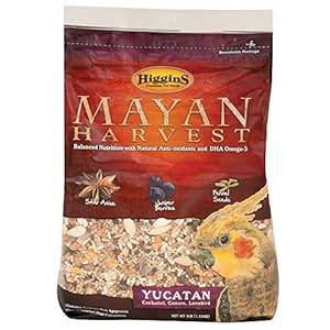 Higgins Mayan Harvest Yucatan Food Mix for Cockatiels, Lovebirds & Conures, 3 lbs.