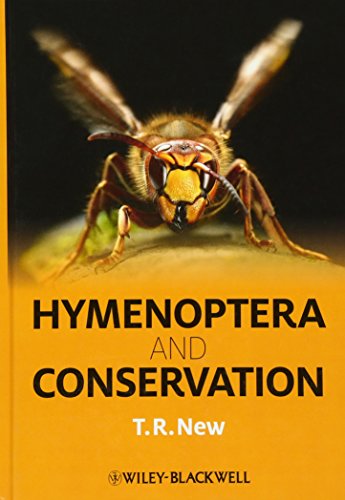 Hymenoptera and Conservation view 2