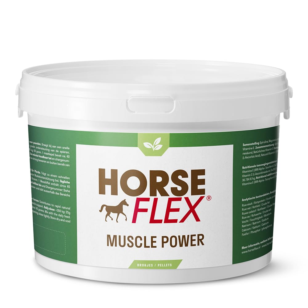 Muscle Power Complex Polvo para caballos para apoyar los músculos - 4200 gramos