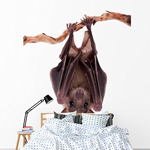 One-Day Sale: Up to 40% Off Wallmonkeys WM362666 Egyptian Fruit Bat Isolated on White Peel and Stick Wall Decals (72 in H x 48 in W), Colossal