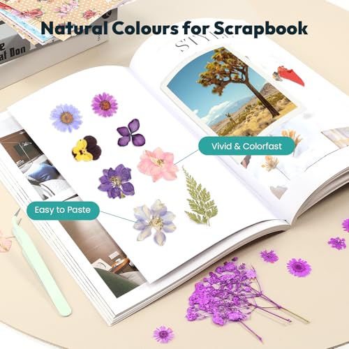 Lámpara UV Recargable 58 Flores Secas para Resina miniatura 4