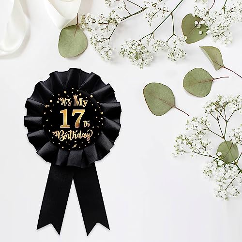 Black It's My 17th Birthday Tinplate Badge Pin, Happy 17th Birthday Boys and Girls Award Ribbon Party Decorations Sign3