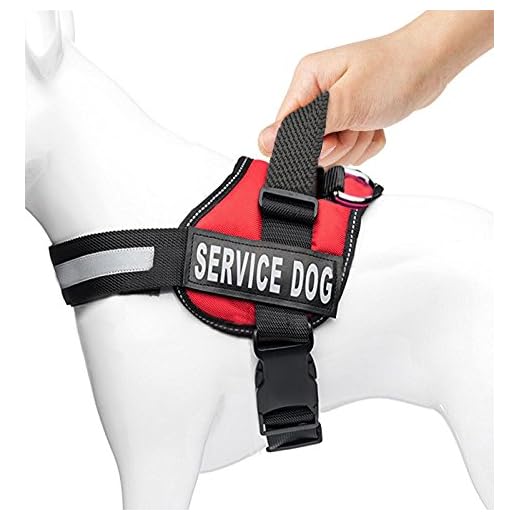 ZERMU Service Dog Harness with Standing Handle/Reflective Loop Patches/Metal Ring/Vest Features/Breathable Soft Mesh Design Pet Harness Available In 6 Sizes (M/(26-29 inch/28-50 Lbs))