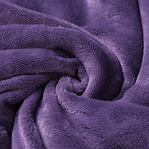 Bedelite Sherpa Fleece Throw Blankets Twin Size- 480Gsm Thick Warm Winter Blankets, Super Soft Fuzzy Fluffy Cozy Blankets For Couch, Bed, Sofa(60" X 80", Purple) #TOP5