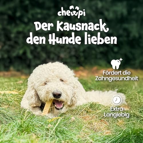Kaukäse für Hunde L - 2er-Pack - 100% Natürliche Käsestangen für Hunde - Käseknochen Hund mit Langer Kauzeit - Unterstützt die Zahnpflege - Ideal für Starke Kauer - Chewpi