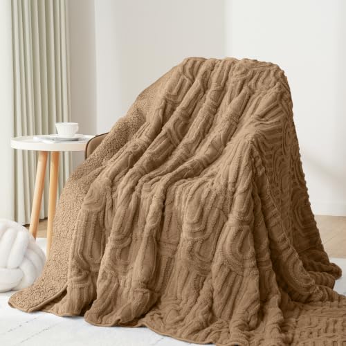 Image of Drewin Weighted Blanket for Adults Queen Size 15lbs, Soft Cozy Turtleback Sherpa Weighted Blankets for Sleeping and Calming, Thick Bed Blanket for Couch Bed, 60 x 80 inches, Brown